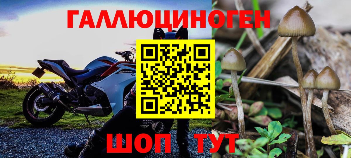Псилоцибиновые грибы Cubensis  Псилоцибиновые грибы Magic Shrooms  Киров  Вход с VPN 